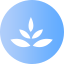 植物新品种查询